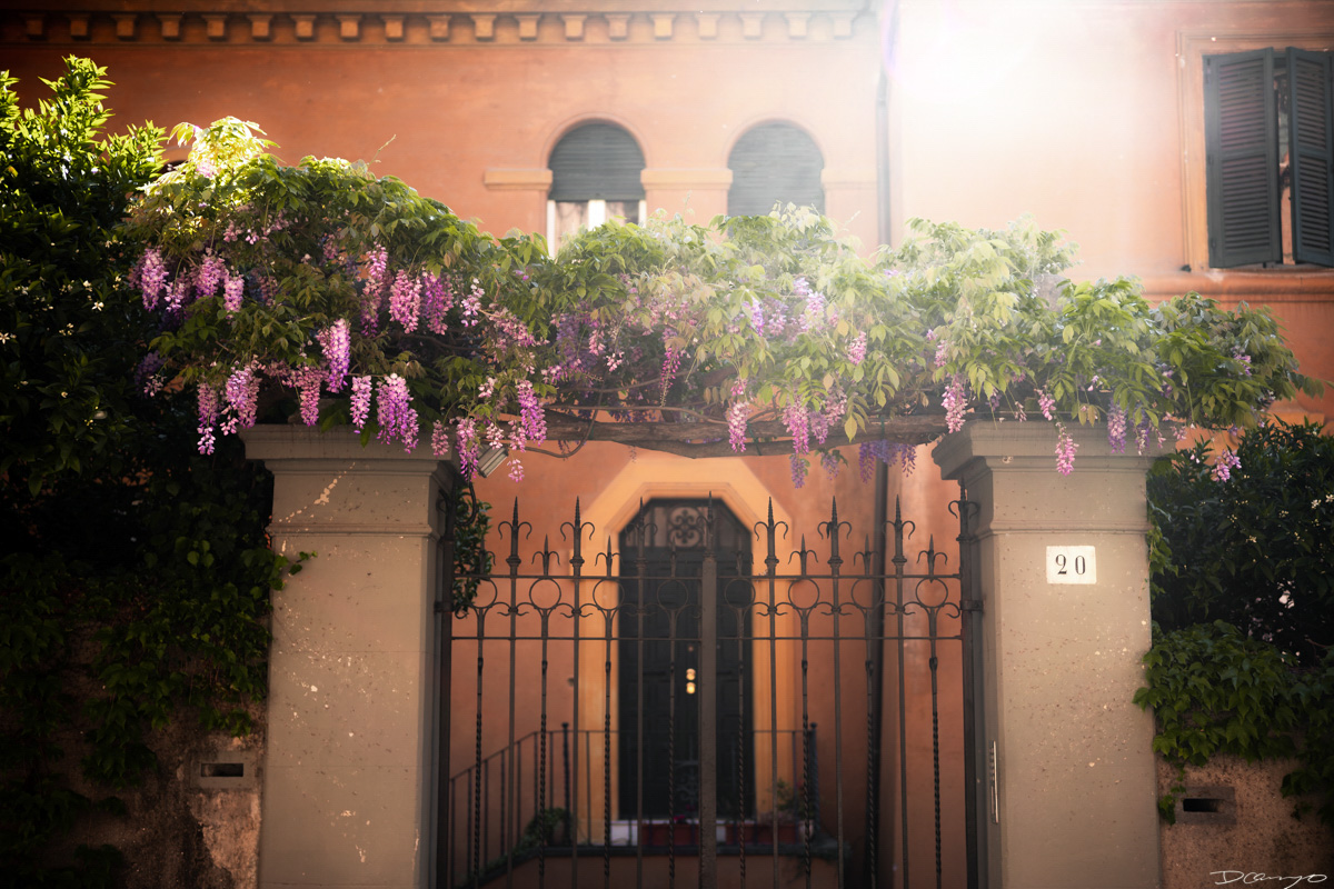 Photos from Rome, Venice, Florence, Tuscany, Manarola, Vernazza, Riomaggiore, Verona, Trento, and the Italian Alps in Spring of 2022.